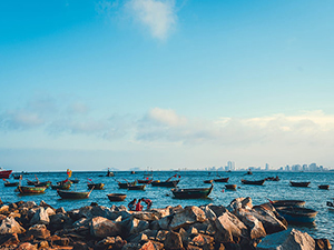 優勢明顯，資本蜂擁而入