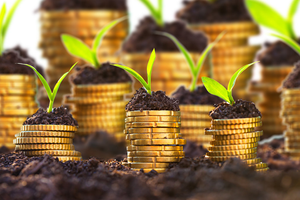 BVI公司盡職調查需要的文件