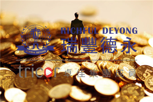 新加坡家族辦公室的結(jié)構(gòu)